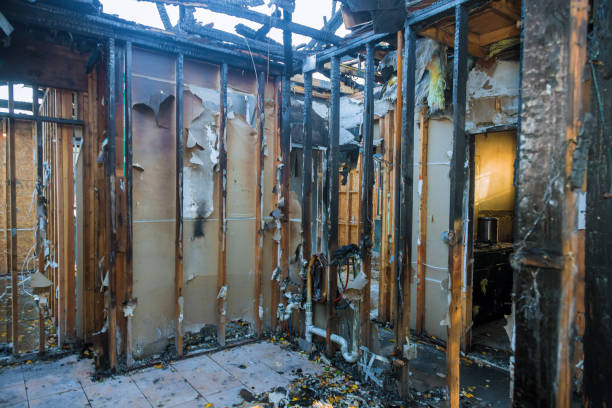 Professional Fire Damage Removal technician working in Valley City, ND